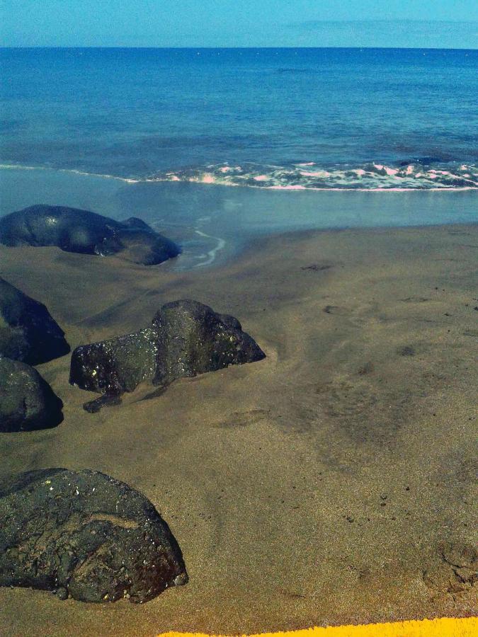 Apartamento A 1 Minuto De La Playa De Sardina لاس بالماس دي غران كاناريا المظهر الخارجي الصورة
